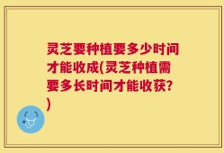 灵芝要种植要多少时间才能收成(灵芝种植需要多长时间才能收获？)