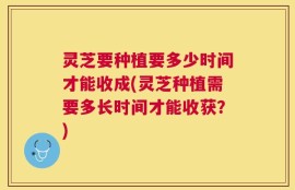 灵芝要种植要多少时间才能收成(灵芝种植需要多长时间才能收获？)