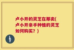 卢小开的灵芝在那卖(卢小开亲手种植的灵芝如何购买？)