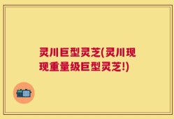 灵川巨型灵芝(灵川现现重量级巨型灵芝!)