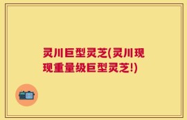 灵川巨型灵芝(灵川现现重量级巨型灵芝!)