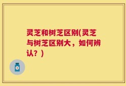 灵芝和树芝区别(灵芝与树芝区别大，如何辨认？)