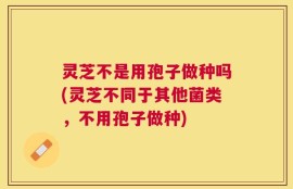 灵芝不是用孢子做种吗(灵芝不同于其他菌类，不用孢子做种)
