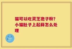 猫可以吃灵芝孢子粉？小猫肚子上起藓怎么处理