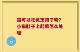 猫可以吃灵芝孢子粉？小猫肚子上起藓怎么处理