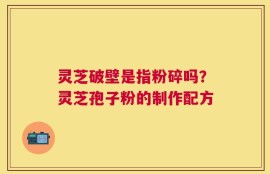 灵芝破壁是指粉碎吗？灵芝孢子粉的制作配方