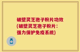 破壁灵芝孢子粉片功效(破壁灵芝孢子粉片：强力保护免疫系统)