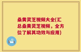 桑黄灵芝视频大全(汇总桑黄灵芝视频，全方位了解其功效与应用)