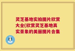 灵芝基地实拍图片欣赏大全(欣赏灵芝基地真实景象的美丽图片合集
