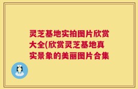 灵芝基地实拍图片欣赏大全(欣赏灵芝基地真实景象的美丽图片合集