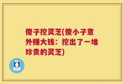 傻子挖灵芝(傻小子意外赚大钱：挖出了一堆珍贵的灵芝)