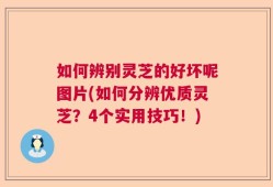 如何辨别灵芝的好坏呢图片(如何分辨优质灵芝？4个实用技巧！)