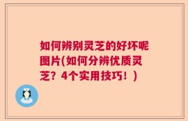 如何辨别灵芝的好坏呢图片(如何分辨优质灵芝？4个实用技巧！)