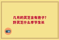 几月的灵芝含有孢子？野灵芝什么季节生长