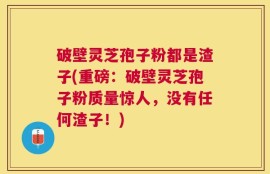 破壁灵芝孢子粉都是渣子(重磅：破壁灵芝孢子粉质量惊人，没有任何渣子！)