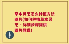 草本灵芝怎么种植方法图片(如何种植草本灵芝 - 详细步骤提供图片教程)