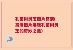 孔菌树灵芝图片高清(高清图片展现孔菌树灵芝的奇妙之美)