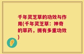 千年灵芝草的功效与作用(千年灵芝草：神奇的草药，拥有多重功效)