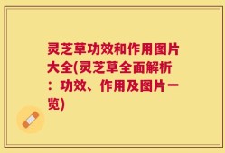 灵芝草功效和作用图片大全(灵芝草全面解析：功效、作用及图片一览)