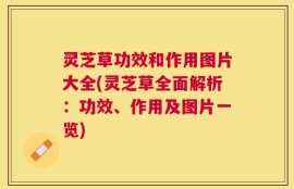 灵芝草功效和作用图片大全(灵芝草全面解析：功效、作用及图片一览)