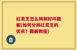 红灵芝怎么辨别好坏图解(如何分辨红灵芝的优劣？图解教程)