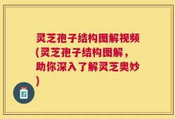 灵芝孢子结构图解视频(灵芝孢子结构图解，助你深入了解灵芝奥妙)