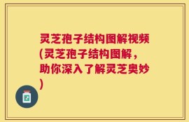 灵芝孢子结构图解视频(灵芝孢子结构图解，助你深入了解灵芝奥妙)