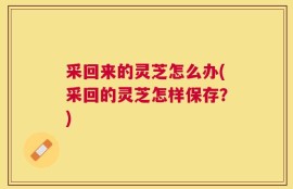 采回来的灵芝怎么办(采回的灵芝怎样保存？)