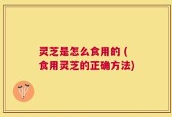 灵芝是怎么食用的 (食用灵芝的正确方法)