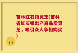 吉林红石镇灵芝(吉林省红石镇出产高品质灵芝，吸引众人争相购买)
