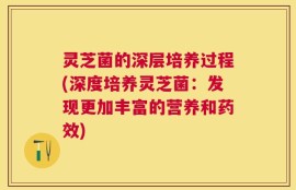 灵芝菌的深层培养过程(深度培养灵芝菌：发现更加丰富的营养和药效)
