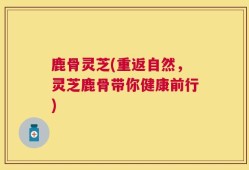 鹿骨灵芝(重返自然，灵芝鹿骨带你健康前行)