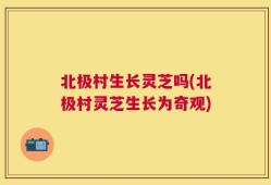 北极村生长灵芝吗(北极村灵芝生长为奇观)