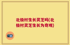 北极村生长灵芝吗(北极村灵芝生长为奇观)