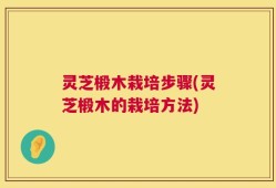 灵芝椴木栽培步骤(灵芝椴木的栽培方法)