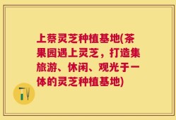 上蔡灵芝种植基地(茶果园遇上灵芝，打造集旅游、休闲、观光于一体的灵芝种植基地)