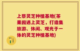 上蔡灵芝种植基地(茶果园遇上灵芝，打造集旅游、休闲、观光于一体的灵芝种植基地)