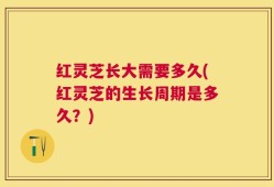 红灵芝长大需要多久(红灵芝的生长周期是多久？)