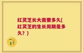 红灵芝长大需要多久(红灵芝的生长周期是多久？)