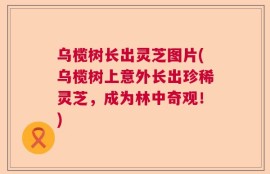 乌榄树长出灵芝图片(乌榄树上意外长出珍稀灵芝，成为林中奇观！)