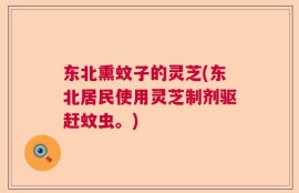 东北熏蚊子的灵芝(东北居民使用灵芝制剂驱赶蚊虫。)