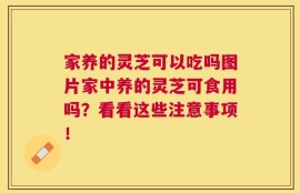 家养的灵芝可以吃吗图片家中养的灵芝可食用吗？看看这些注意事项！