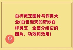 白桦灵芝图片与作用大全(白色漫天的奇妙白桦灵芝：全面介绍它的图片、功效和效用)