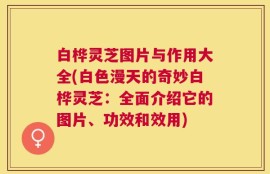 白桦灵芝图片与作用大全(白色漫天的奇妙白桦灵芝：全面介绍它的图片、功效和效用)