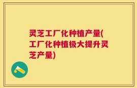 灵芝工厂化种植产量(工厂化种植极大提升灵芝产量)