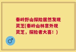 秦岭野山探险居然发现灵芝(秦岭山林意外现灵芝，探险者大喜！)