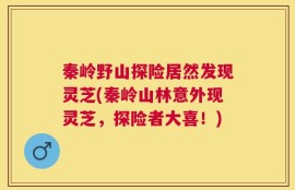 秦岭野山探险居然发现灵芝(秦岭山林意外现灵芝，探险者大喜！)