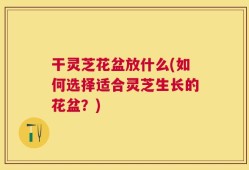 干灵芝花盆放什么(如何选择适合灵芝生长的花盆？)