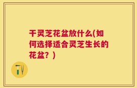 干灵芝花盆放什么(如何选择适合灵芝生长的花盆？)