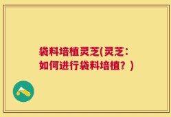 袋料培植灵芝(灵芝：如何进行袋料培植？)